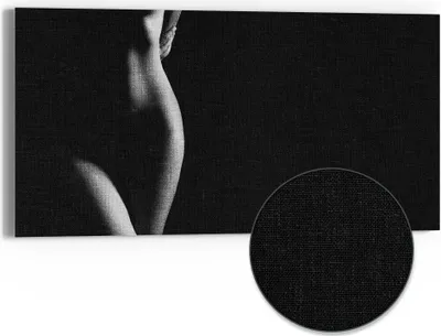 Produktbild von DEQORI Hybrid Leinwand Bild 60x30 cm 'Weibliche Kurven' Wandbild Glas flach modern