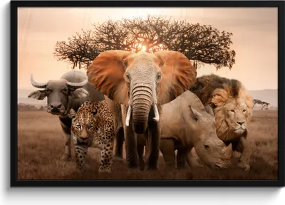 Produktbild von MuchoWow® MuchoWow® Gerahmtes Poster Tiere - Elefant - Löwe 90x60 cm - Poster mit zchwarzem Bilderrahmen - Fotorahmen - Foto-Plakat