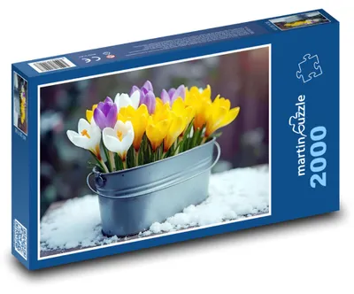 Obrázek produktu pro Puzzle 2000 Krokusy - jarní květiny, zima - martinpuzzle