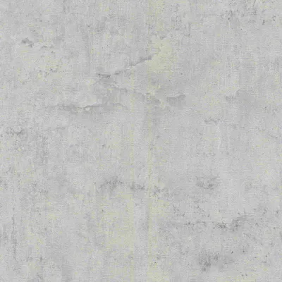 Produktbild von Rasch Vliestapete 407341 Tapetenwechsel betonoptik grau 10,05 x 0,53 m
