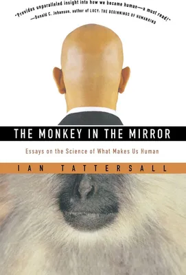 Produktbild von The Monkey in the Mirror