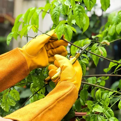 Imagen del producto de Guantes de jardinería de cuero transpirable, con mangas largas y protección contra espinas, ideales para jardinería y agricultura