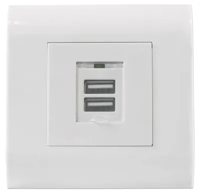 Immagine prodotto di Intellinet 772211 Intellinet Unterputzdose 2x USB A-Ladeports 5V/2, 1A Abdeck.