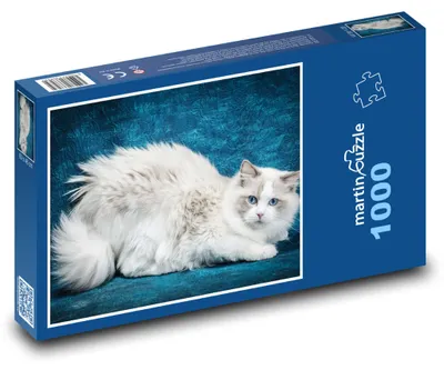 Obrázok produktu pre Puzzle 1000 Ragdoll - krásna mačka - martinpuzzle
