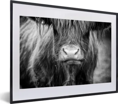 Produktbild von MuchoWow® MuchoWow® Gerahmtes Poster Schottisches Hochlandrind - Kuh - Schwarz - Weiß - Tiere 60x40 cm - Poster mit zchwarzem Bilderrahmen - Schlafzimmer - Plakat in Rahmen - Drucken