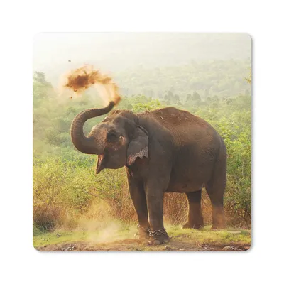 Produktbild von MuchoWow® Mauspad Mousepad Elefant - Tiere - Wald - Bäume 20x20 cm - Mousepads - Maus Mat - Pad - Mausunterlage - Desk Mat - Bureauartikeln