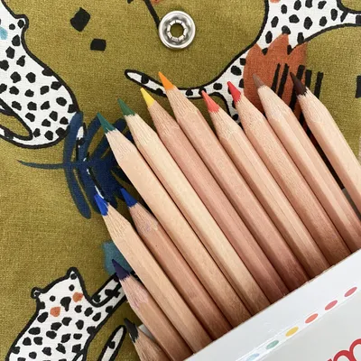 Image de Crayons de couleur en bois de tilleul pack de 12