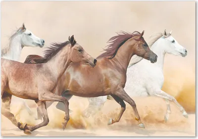 Produktbild von Tulup® Glas-Bild - 100 x 70 - Wandbild aus Glas - Wandkunst - Wandbild hinter gehärtetem Sicherheitsglas - Tiere - Pferde im Galopp - Braun