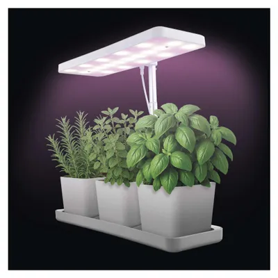 LED GROW pěstební lampa 7 W, časovač, stmívatelná, bílá