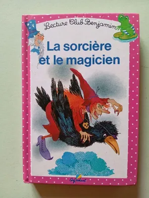 Image de La sorciére et le magicien
