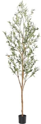 Image de Olivier artificiel en bois naturel, 2,1 m, pour l'intérieur, avec des feuilles et des fruits réalistes, 213,4 cm, à usage domestique