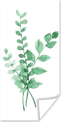 Produktbild von MuchoWow® Poster Aquarelle - Blätter - Pflanzen 60x120 cm - Wandschmuck