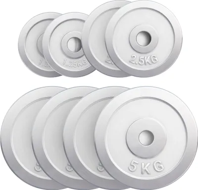 Produktbild von GORILLA SPORTS® Hantelscheiben - 27,5 kg Set, 2 x 1,25 kg, 2 x 2,5 kg, 4 x 5 kg Gewichte, 30/31mm Bohrung, aus Chrom - Gewichtsscheiben