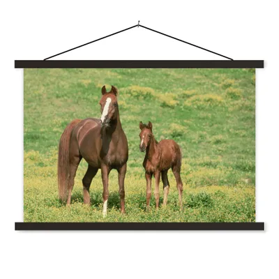 Produktbild von MuchoWow® Textilposter Pferde - Gras - Braun 150x100 cm mit schwarzem Rahmen - Schlafzimmer