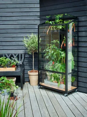 Produktbild von Juliana MiniGewächshaus City Greenhouse
