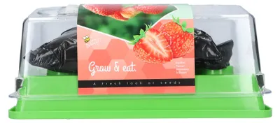 Artikelbild 1 von 'Gewächshaus Erdbeeren' aus der Kategorie Anzuchtsets