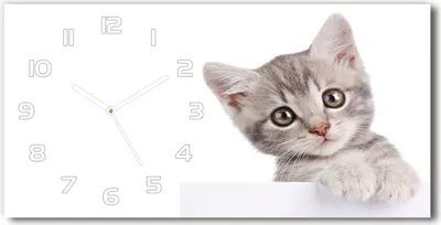 Produktbild von Wanduhr aus Glas – 60x30 cm - Glasbild - Glasuhr - Gehärtetes Glas - weisse-zeiger - graue Katze