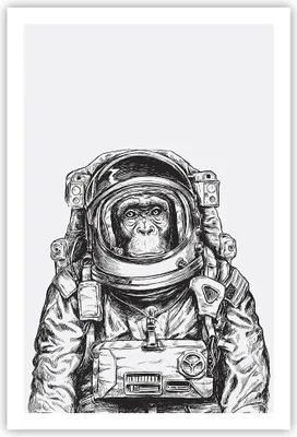 Produktbild von Poster - Poster ohne Rahmen - Schimpanse Astronaut Zeichnung - 61x91,5 cm - Wand Bild - Wanddeko - Wandbilder - Kunstposter - Wandposter - Bilder - Kunstdruck - Wandbild - P2XPA61x91-4312