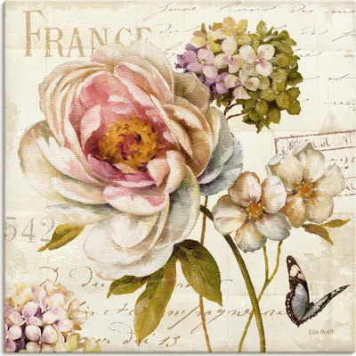 Produktbild von ARTland Leinwandbild Blumen III Größe: 50x50 cm