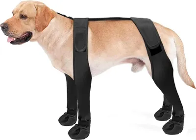 Immagine prodotto di INF Scarpe protettive per cani da esterno: impermeabili e antiscivolo M