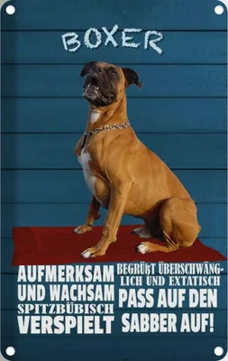 Produktbild von vianmo Blechschild 30x20 cm Boxer Hund aufmerksam wachsam Tier Haustier