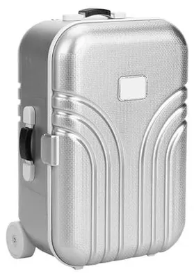 Image de Petite valise pour enfants avec espace de rangement