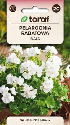 Obrázek produktu pro Pelargonie zahradní bílé – semena květin – 616 Toraf