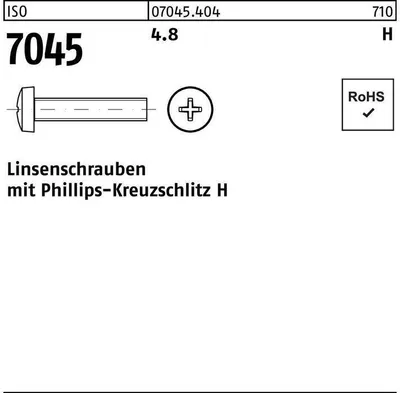 Produktbild von Reyher  Flachkopfschrauben ISO 7045 4.8 M 6 x 40 -H (500 Stück)