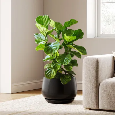 Immagine prodotto di Vaso in Vetroceramica, 30 cm, nero, con sottovaso e foro di drenaggio