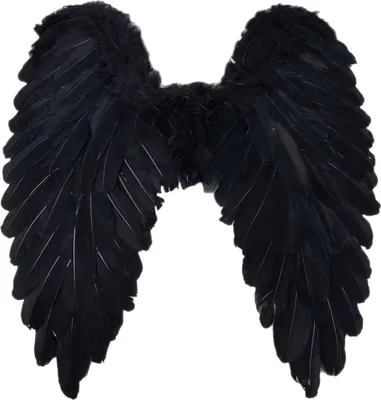 Produktbild von Boland 652821, Karnevalskostüm-Flügel, Erwachsener, Weiblich, Papier, Feather, Eisen, Polyester, Schwarz, 500 mm