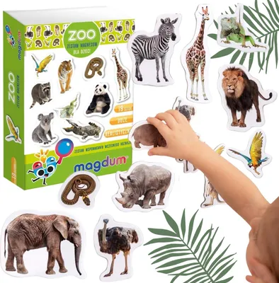 Zdjęcie produktu dla Zestaw Magnesów Zoo Dzikie Zwierzęta Realistyczny Design Solidne Wykonanie Mv6032-02