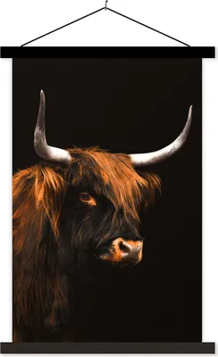 Produktbild von MuchoWow® Textilposter Schottisches Hochlandrind - Schwarz - Fell 60x90 cm mit schwarzem Rahmen - Poster Wohnzimmer