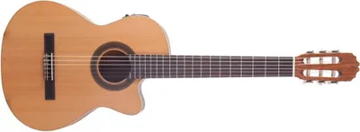 Obrázok produktu pre Prodipe Guitars STUDENT CUT + EQ