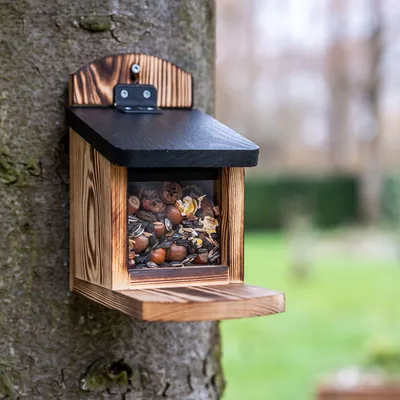 Produktbild von CJ Wildlife Eichhörnchen Futterhaus - Victoria Futterstation - Holz (FSC 100%)/Kunststoff - braun - durchsichtiges Fenster - einzigartiges Finish