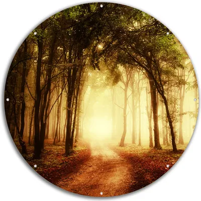 Produktbild von Wallario rundes Outdoor-Poster für Garten oder Balkon, Motiv Sonnenuntergang auf dem Waldweg, 60 cm Durchmesser