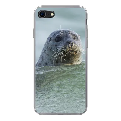 Produktbild von MuchoWow® Handyhülle Schutzhülle Hülle für iPhone SE 2020 Nordsee - Seehund - Wasser Silikon Softcase Handy Hülle - Kartenbesitzer