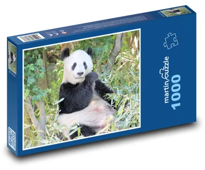 Obrázek produktu pro martinpuzzle - Puzzle 1000 - Panda