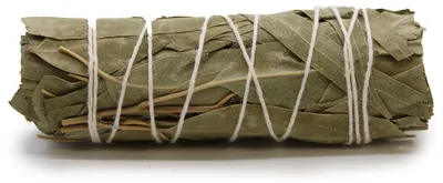 Produktbild von Kräuterbündel – Weißer Salbei und Eukalyptus, 10 cm