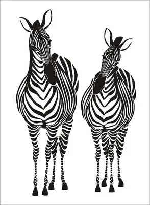 Produktbild von AG Design Wandstickers Zebras, 65 x 85 cm