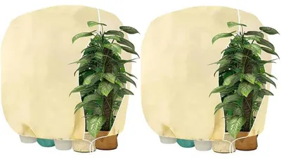Produktbild von Pflanzen-Winterschutzhaube mit Reißverschluss 120 x 180 cm beige 2 Stück