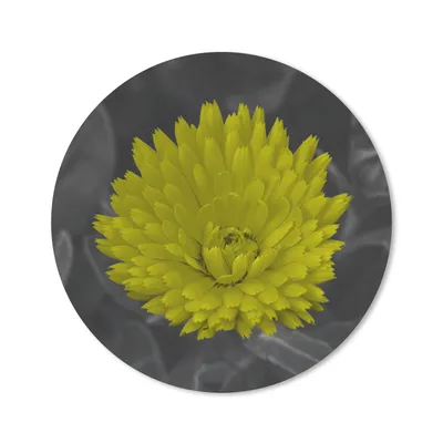 Produktbild von MuchoWow® Mauspad Mousepad Blumen - Aquarell - Löwenzahn 50x50 cm - Mousepads - Maus Mat - Pad - Mausunterlage - Vinyl