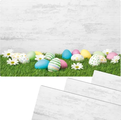 Produktbild von Abwaschbare Tischsets 4er Set Ostern Gänseblümchen Blumen