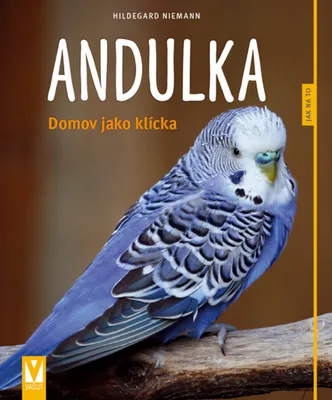 Zdjęcie produktu dla Andulka - Domov jako klícka (Niemann Hildegard)