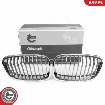 Produktbild von ESEN SKV 66SKV015 Kühlergrill Frontgrill für BMW 1 Schrägheck (F20) Chrom