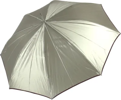 Produktbild von Stockschirm Damen Satin Automatik hellgrün