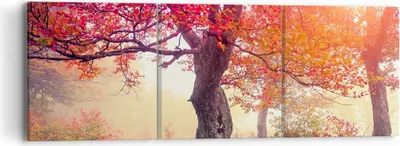 Produktbild von Bild auf Leinwand - Leinwandbild - Baum Natur Wiese - 90x30cm - Wand Bild - Wanddeko - Wandbilder - Leinwanddruck - Bilder - Kunstdruck - Wanddekoration - Leinwand bilder - Wandkunst - CA90x30-3658