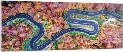 Produktbild von Bilder auf glas - Einteilig - Kurvenreich Weg Wald - 140x50cm - Glasbilder - Wandbilder - Bilder - zum Aufhängen bereit - Wanddekoration aus Glas - Glas Bilder - Wandbild auf Glas - GAB140x50-4291