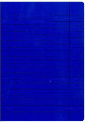 Immagine prodotto di Landré® 100050583 Diarie (Kladde) - Größe: A4, Folio, geheftet, liniert/Rand, 40 Blatt