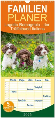 Produktbild von Familienplaner 2026 - Lagotto Romagnolo - der Trüffelhund Italiens mit 5 Spalten (Wandkalender, 21 x 45 cm) CALVENDO
