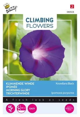 Obrázok produktu pre Buzzy Popínavé kvety Ipomoea Knowlians Black Samen - cca 2 gr | Buzzy_080928